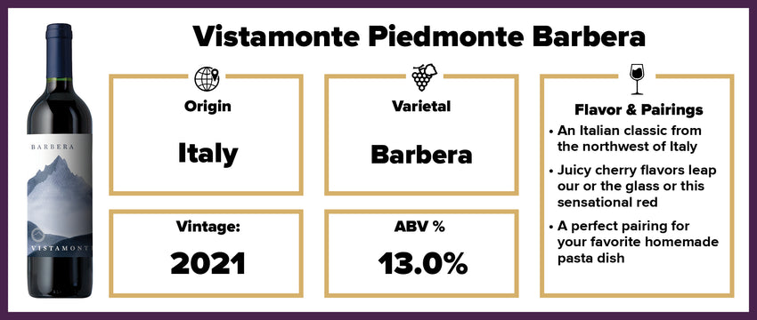 Vistamonte 2021 – Splash Piedmonte Wines Barbera